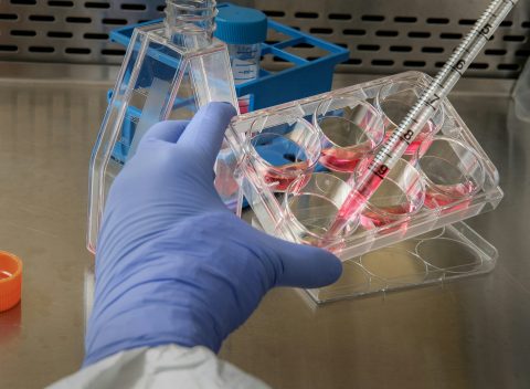 cdc-WCEOtVmk2VY-unsplash